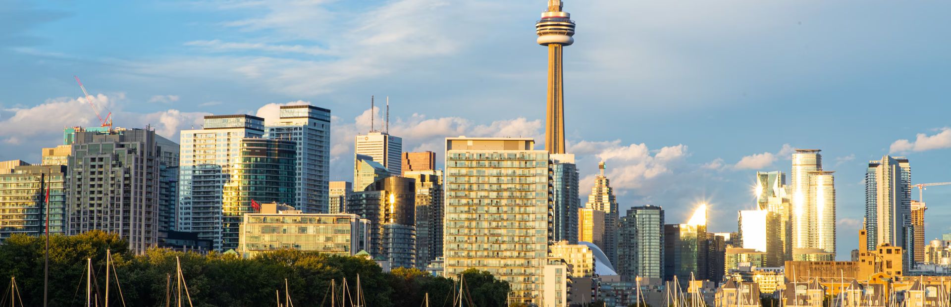 Destination of the Week: Why Toronto is the Ultimate Study Destination for Study in Canada